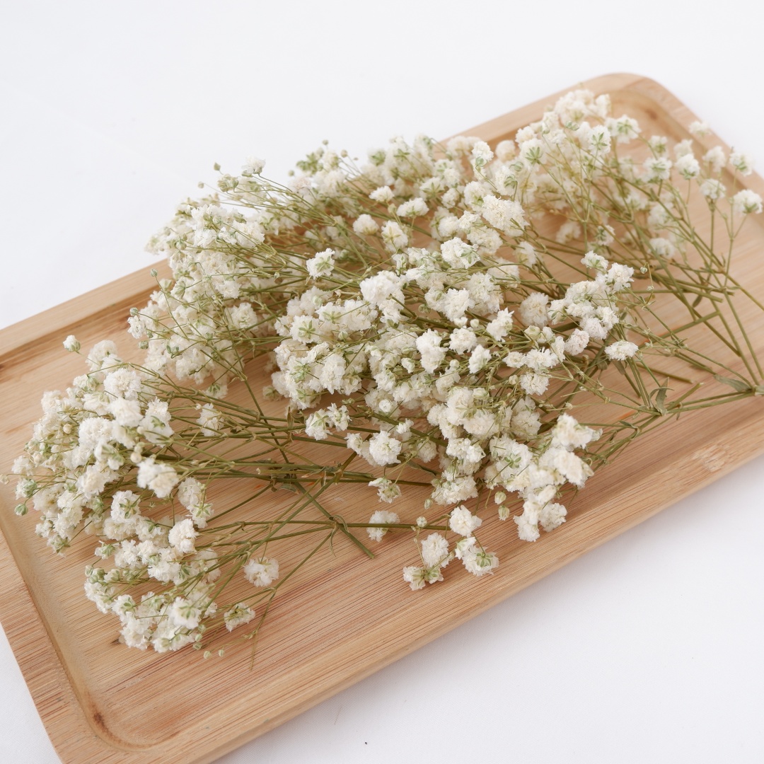 Baby Breath Dried - Getrocknete Blumen, weiße Mini-getrocknete Babys, Atem,