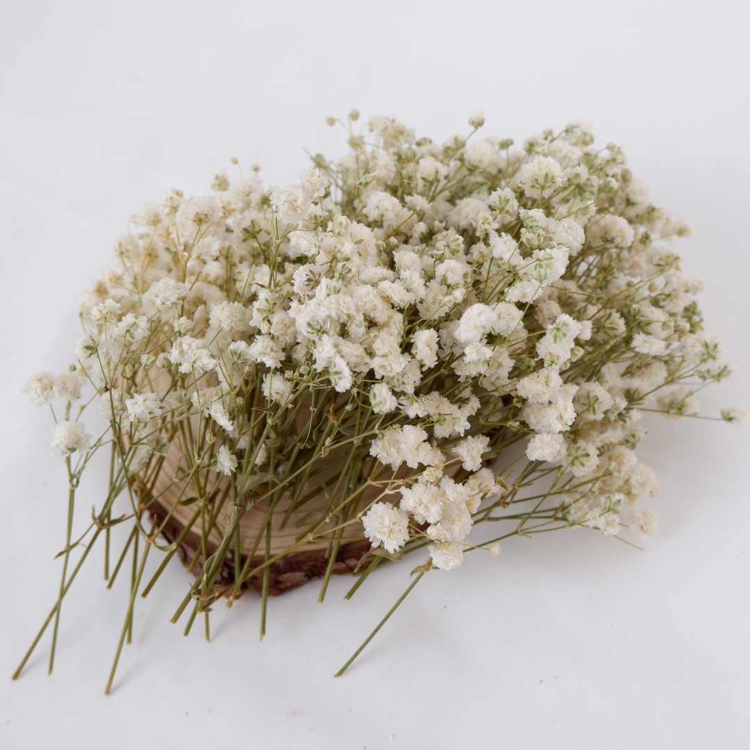 Getrocknete Blumen, weiße Mini – Baby Breath Dried Bewertung und Preis
