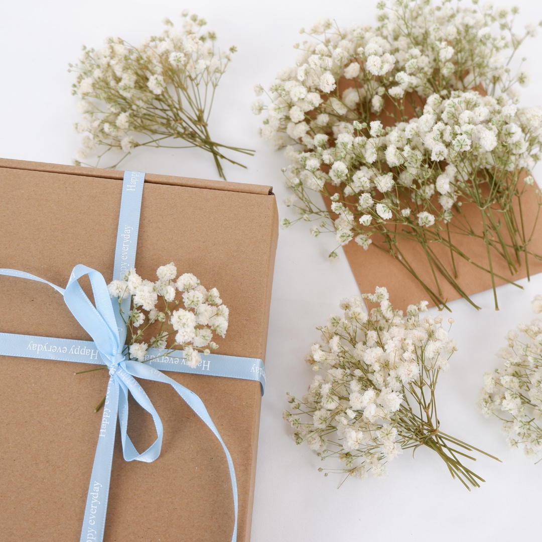 Getrocknete Blumen, weiße Mini – Baby Breath Dried Bewertung und Preis