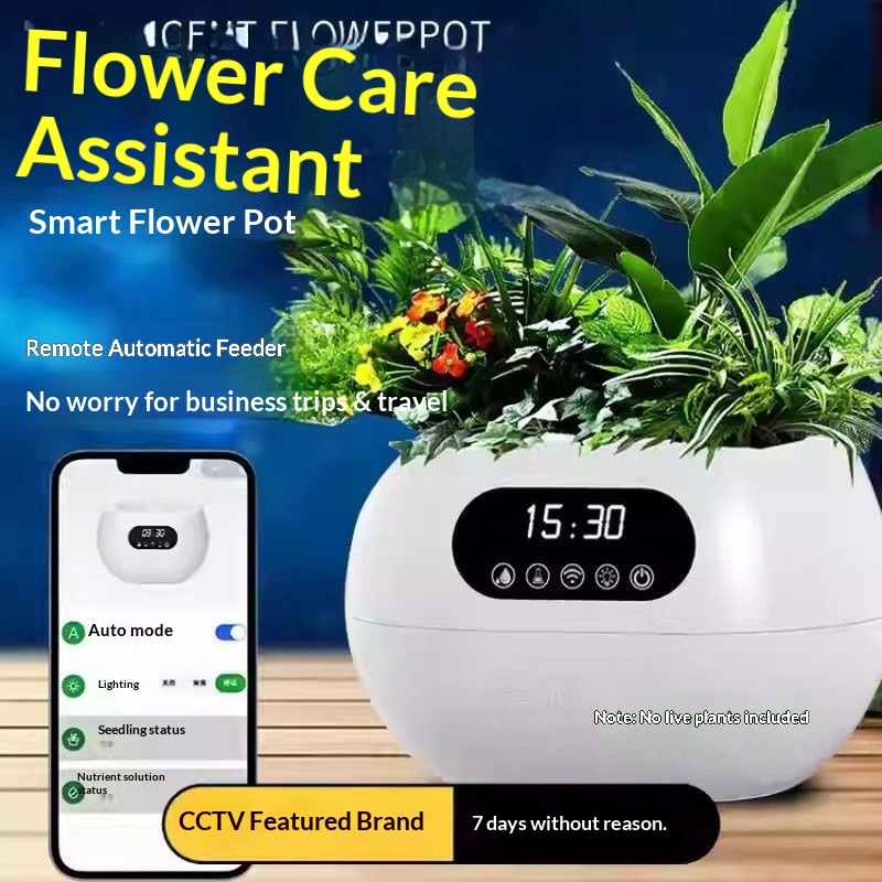 KI-Intelligenter Blumentopf Au – Flower Supplies Bewertung und Preis
