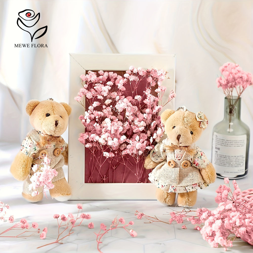 100 kleine Zweige, getrocknete – Baby Breath Dried Bewertung und Preis
